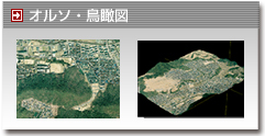 オルソ・鳥瞰図